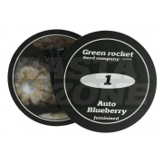 Auto Blueberry fem: Green Rocket