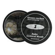 Auto Critical Kush fem: Green Rocket