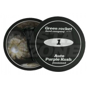 Auto Purple Kush fem: Green Rocket