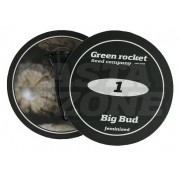Big Bud fem: Green Rocket