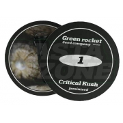 Critical Kush fem: Green Rocket