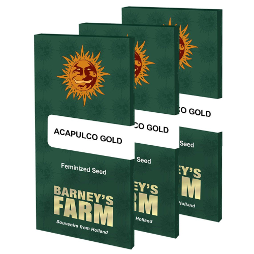 Acapulco Gold Fem: Barney's Farm