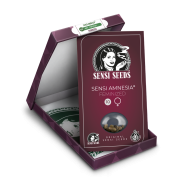 Amnesia Sensi Fem: Sensi Seeds