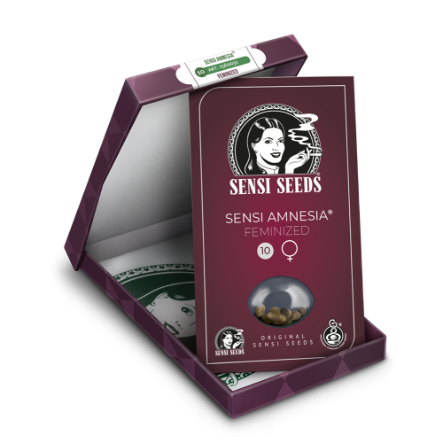 Amnesia Sensi Fem: Sensi Seeds