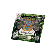 Auto Gorilla Girl XL SWS82 fem: Sweet Seeds